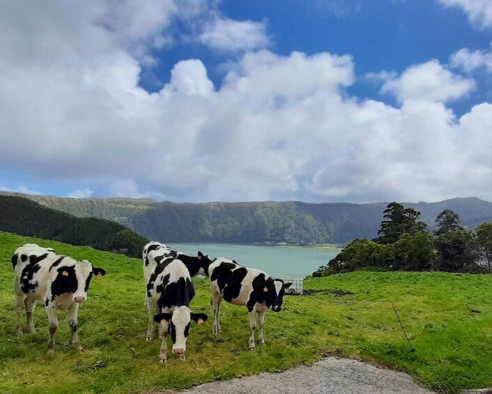 Picture 11 for Activity Azores: Explore the dramatic crater of Sete Cidades