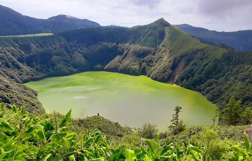 Picture 12 for Activity São Miguel: Explore the volcanic crater of 7cidades by SUV