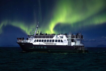 Desde Reikiavik: crucero turístico por la aurora boreal