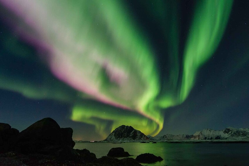 Picture 1 for Activity From Reykjavik: Northern Lights Sightseeing Cruise