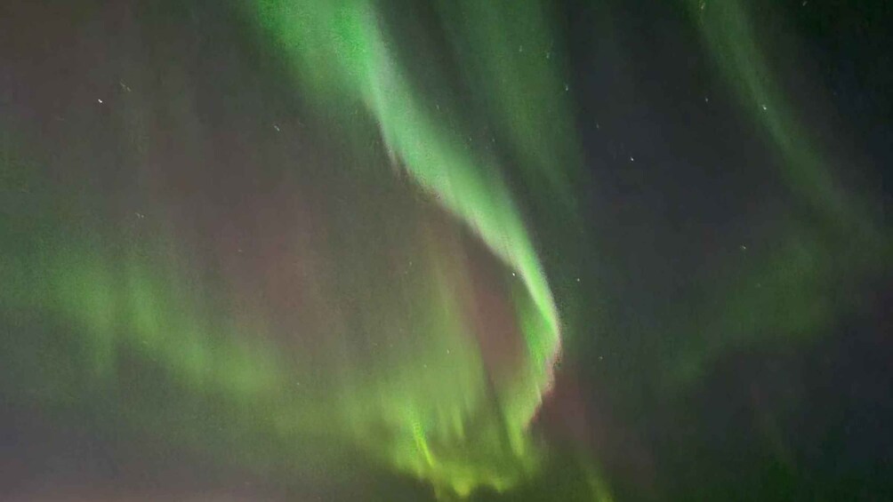 Picture 8 for Activity From Reykjavik: Northern Lights Sightseeing Cruise