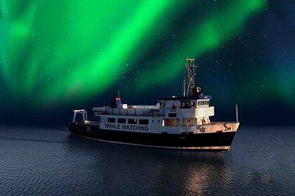 Desde Reikiavik: crucero turístico por la aurora boreal