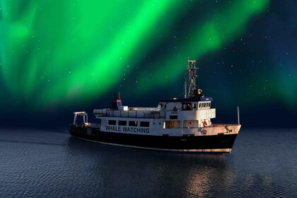 Depuis Reykjavik : Visite des aurores boréales croisière