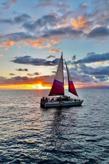 Picture 8 for Activity Maalaea Harbor: Sunset Sail and Whale Watching with Drinks