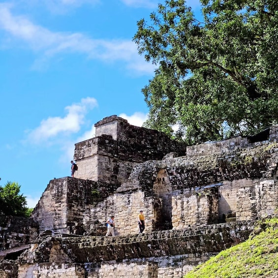 Picture 2 for Activity Tikal From Flores: With Transportation Lunch and Local Guide