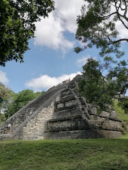 Picture 4 for Activity Tikal From Flores: With Transportation Lunch and Local Guide