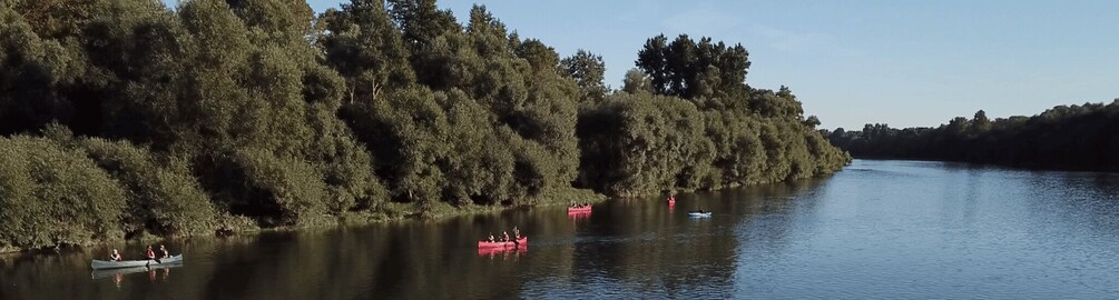 Picture 3 for Activity Bad Bellingen: Beginners Canoe Tour on the Altrhein
