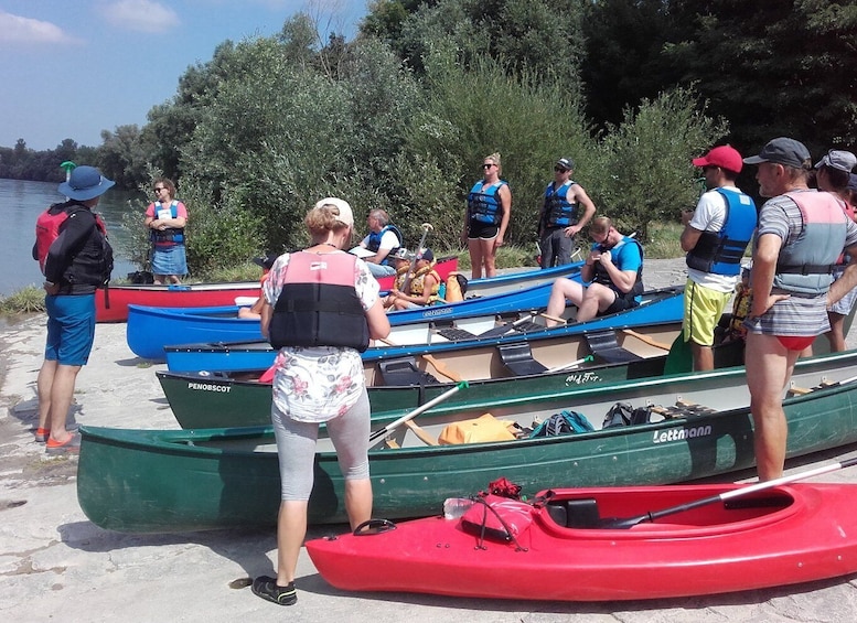 Bad Bellingen: Beginners Canoe Tour on the Altrhein