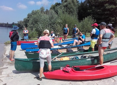 Bad Bellingen: Beginners Canoe Tour on the Altrhein