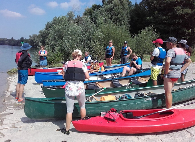 Bad Bellingen: Beginners Canoe Tour on the Altrhein