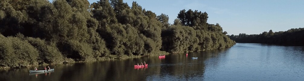 Picture 3 for Activity Bad Bellingen: Beginners Canoe Tour on the Altrhein