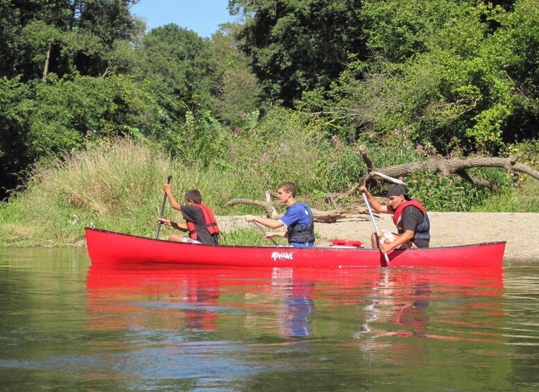 Picture 4 for Activity Bad Bellingen: Beginners Canoe Tour on the Altrhein