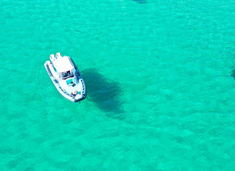 Picture 8 for Activity OLBIA: Unique excursions in the Gulf of Olbia