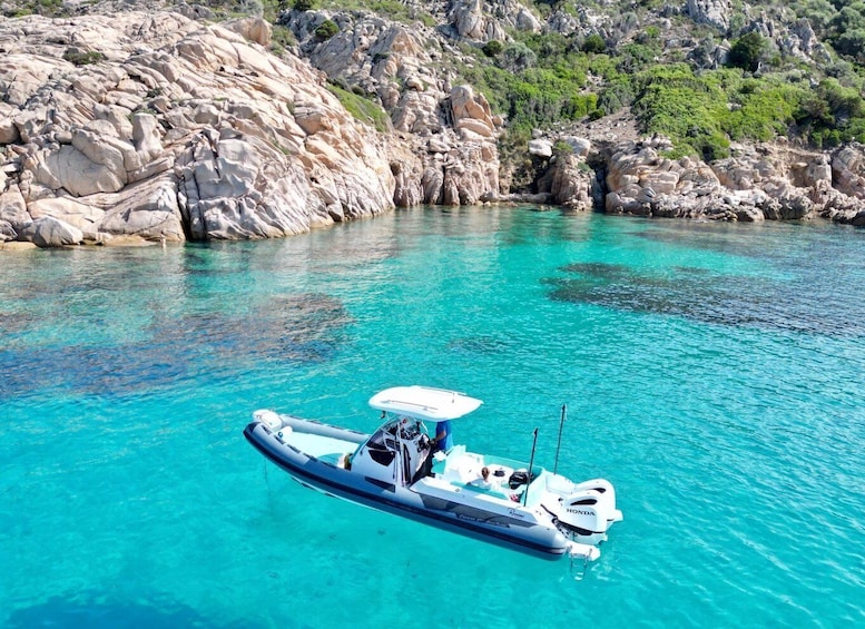 Picture 4 for Activity OLBIA: Unique excursions in the Gulf of Olbia