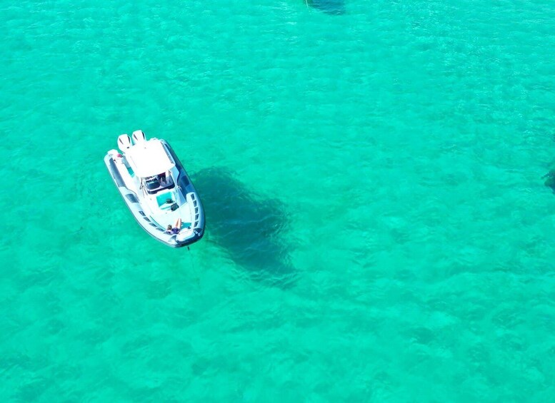 Picture 8 for Activity OLBIA: Unique excursions in the Gulf of Olbia