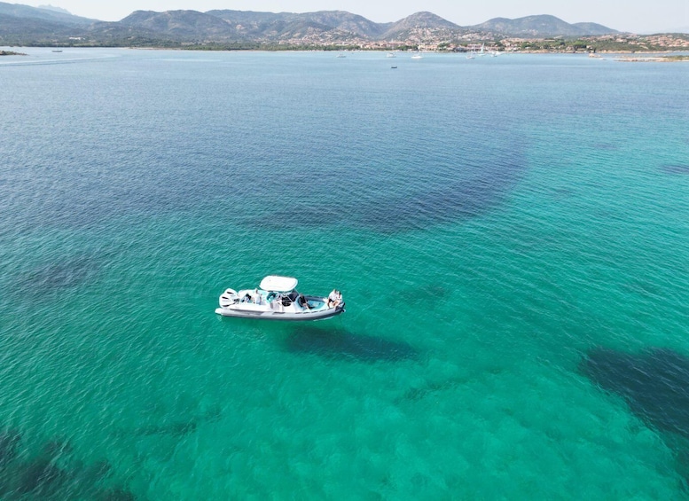 Picture 6 for Activity OLBIA: Unique excursions in the Gulf of Olbia