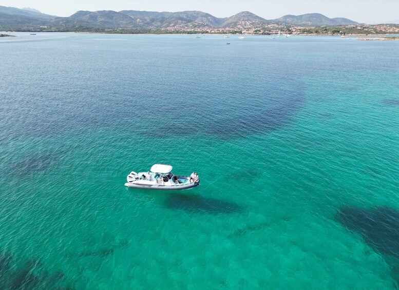 Picture 6 for Activity OLBIA: Unique excursions in the Gulf of Olbia