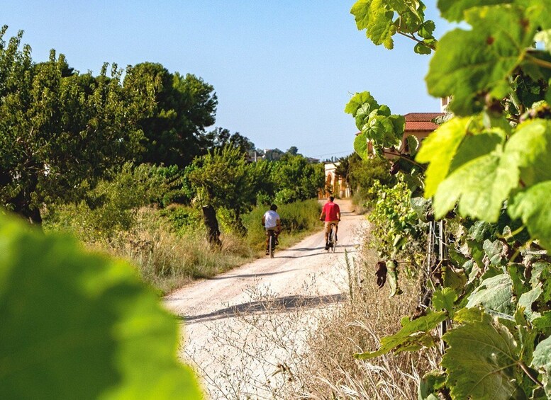 Picture 8 for Activity From Barcelona: Penedès E-Bike Tour with 2 Winery Visits