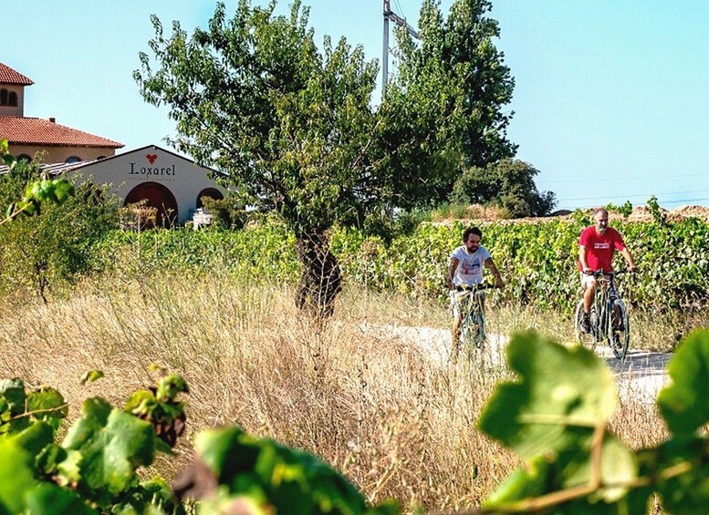 Picture 1 for Activity From Barcelona: Penedès E-Bike Tour with 2 Winery Visits