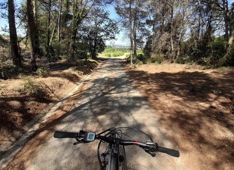 Picture 2 for Activity From Barcelona: Penedès E-Bike Tour with 2 Winery Visits