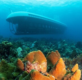 From Bridgetown: Scenic Boat and Submarine Tour