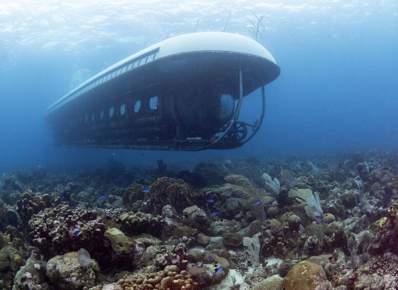 Picture 2 for Activity From Bridgetown: Scenic Boat and Submarine Tour