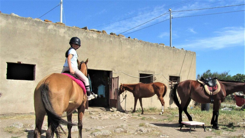 Picture 5 for Activity Sedini: horseback riding for children near Castelsardo