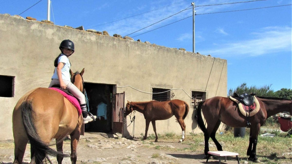 Picture 5 for Activity Sedini: horseback riding for children near Castelsardo