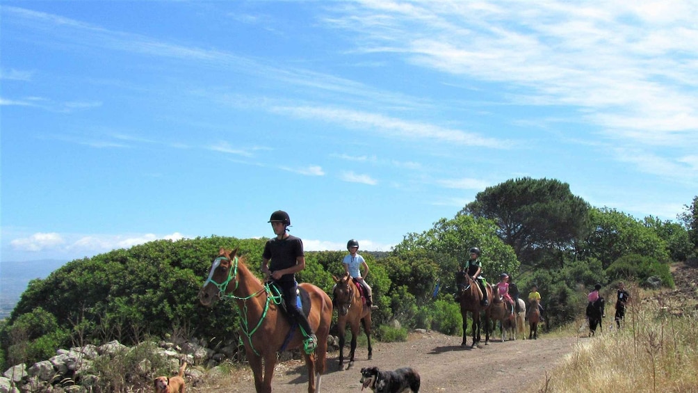 Picture 6 for Activity Sedini: horseback riding for children near Castelsardo