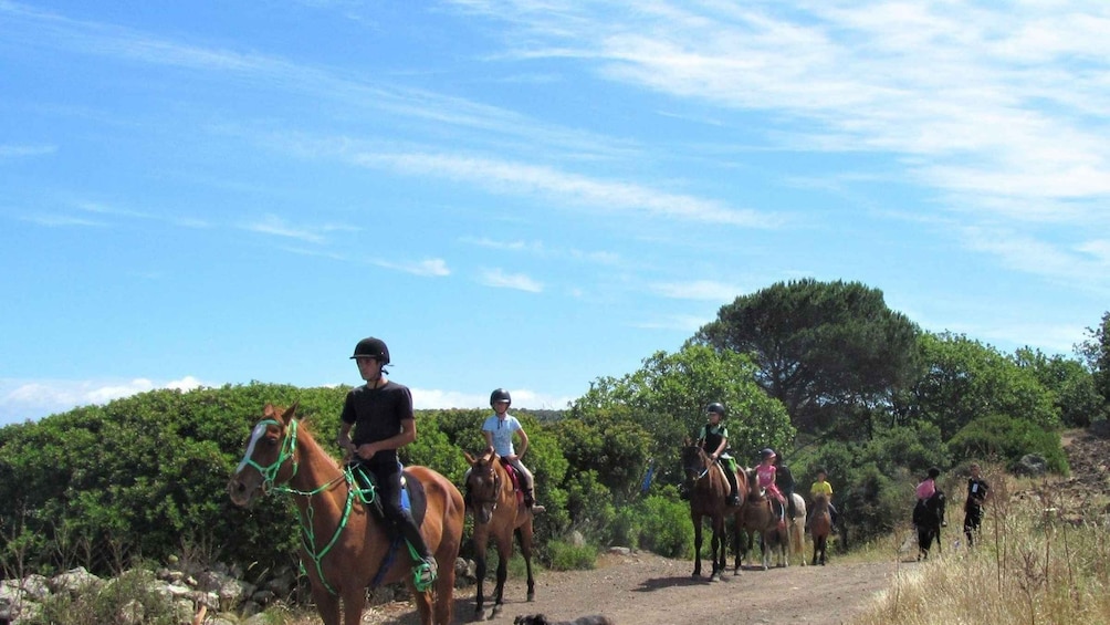 Picture 6 for Activity Sedini: horseback riding for children near Castelsardo
