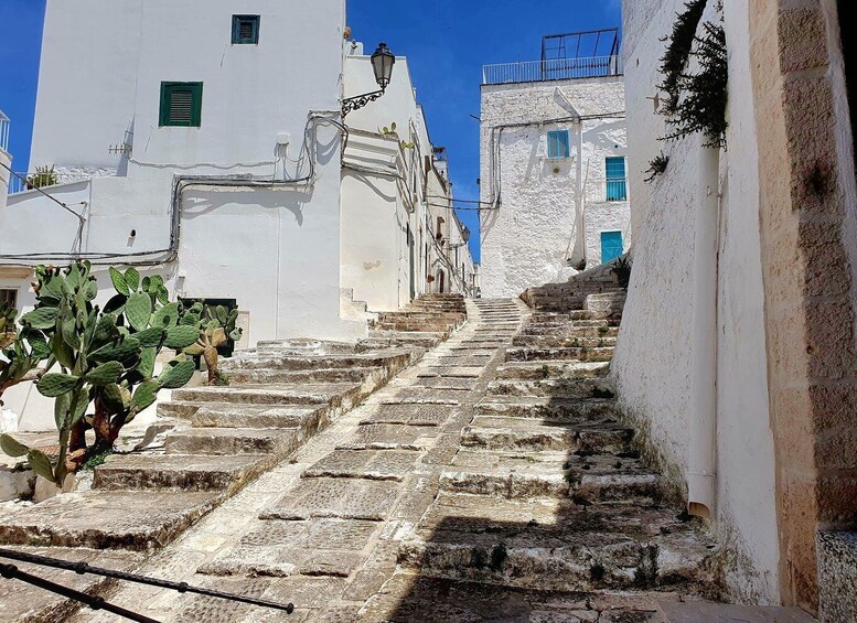 Picture 8 for Activity Lecce: Alberobello, Locorotondo, Ostuni & Apulian brunch