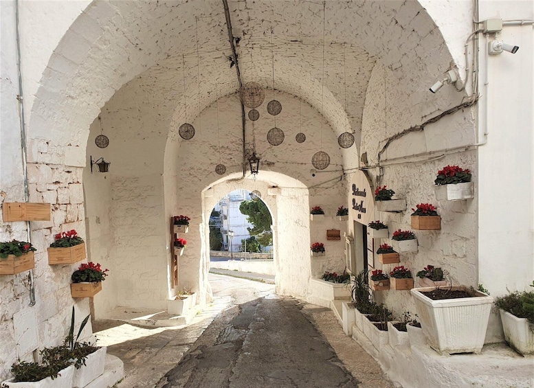 Picture 7 for Activity Lecce: Alberobello, Locorotondo, Ostuni & Apulian brunch