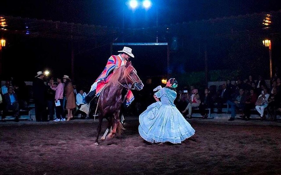 Picture 3 for Activity From Lima: Dinner show & paso horses