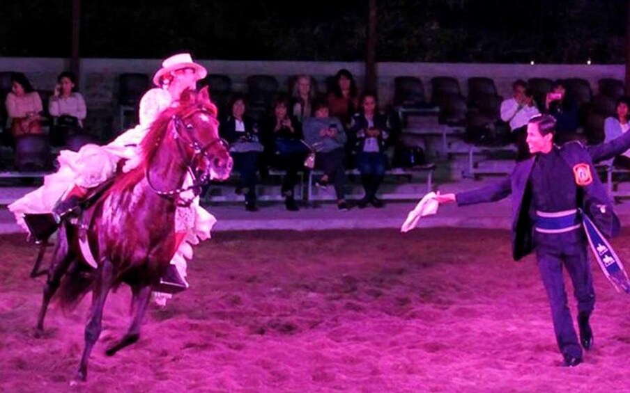 Picture 2 for Activity From Lima: Dinner show & paso horses