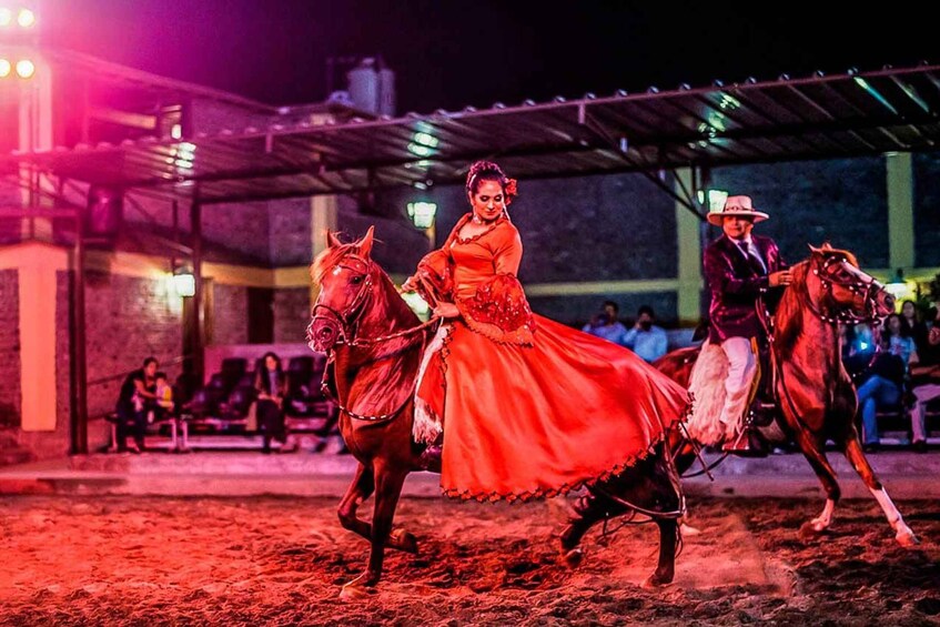 Picture 1 for Activity From Lima: Lunch show & Paso Horses