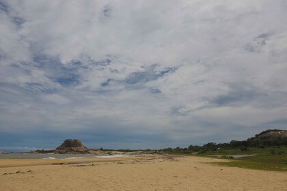 Port d'Hambantota : safari en 4x4 dans le parc national de Yala