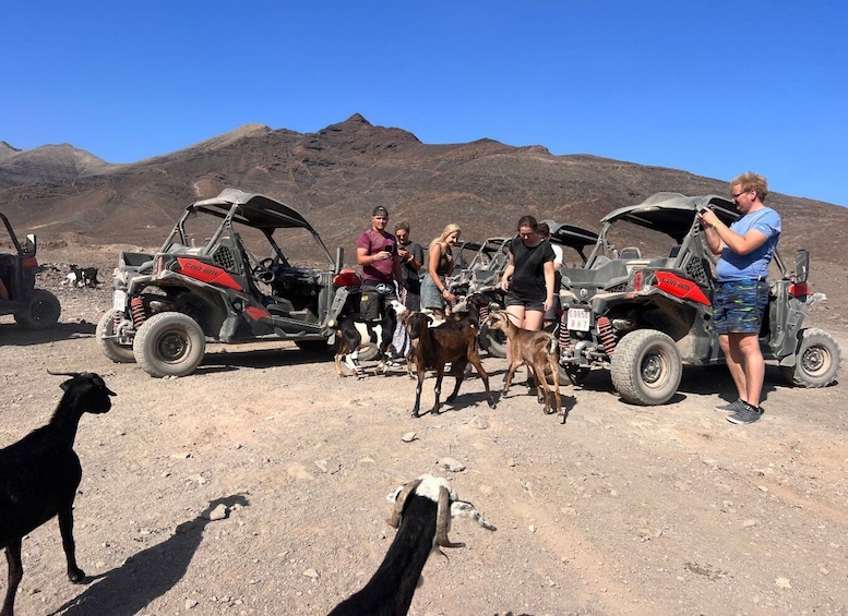 Picture 5 for Activity Fuerteventura : Buggy tour in the south of the island