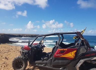Fuerteventura : 2 hours Buggy Tour in Punta de Jandía