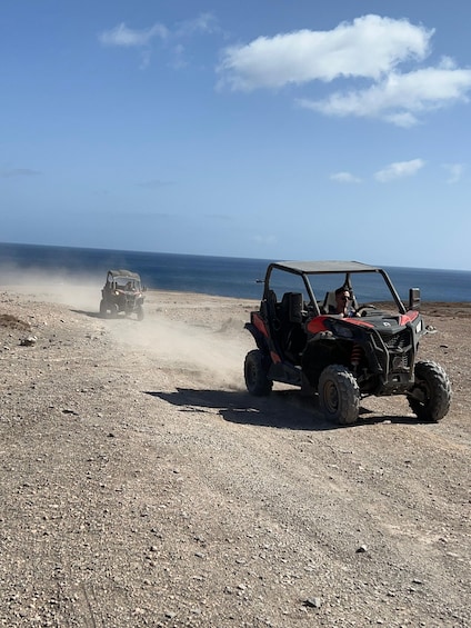 Picture 8 for Activity Fuerteventura : Buggy tour in Punta de Jandía
