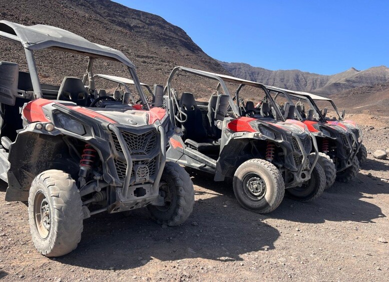 Picture 3 for Activity Fuerteventura : Buggy tour in the south of the island
