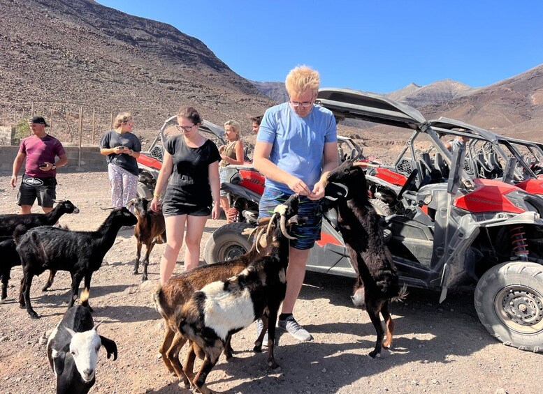 Picture 1 for Activity Fuerteventura : Buggy tour in the south of the island