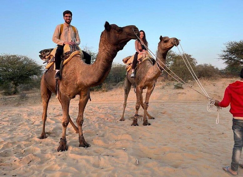 Picture 2 for Activity Camel Safari Tour From Jodhpur