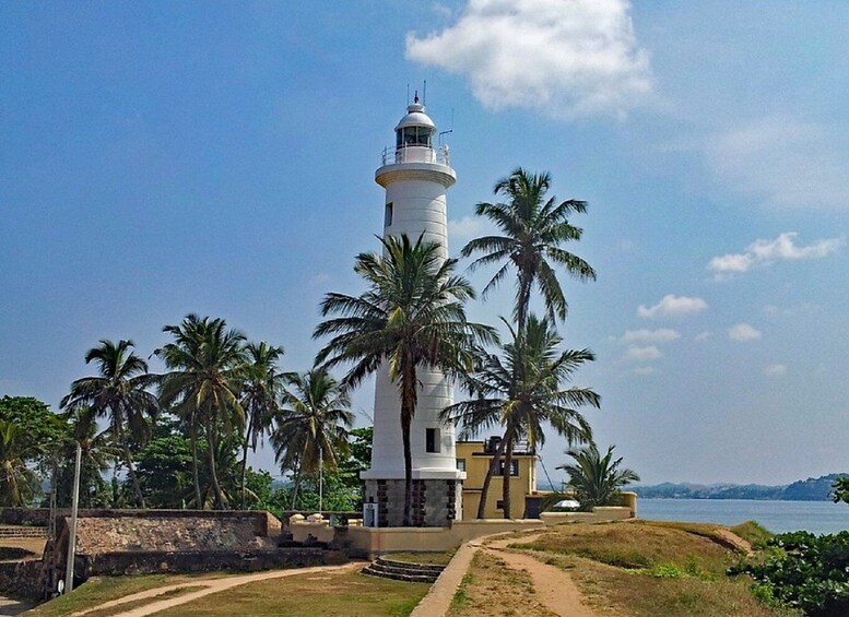 Picture 12 for Activity From Colombo: Galle Guided Tour with Herbal Massage