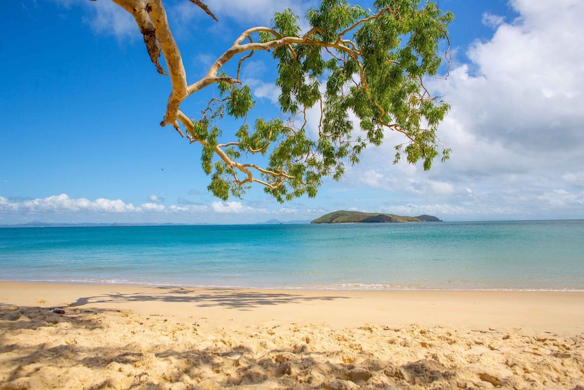 Picture 3 for Activity From Rosslyn: Great Keppel Island Boat Day Trip with Lunch