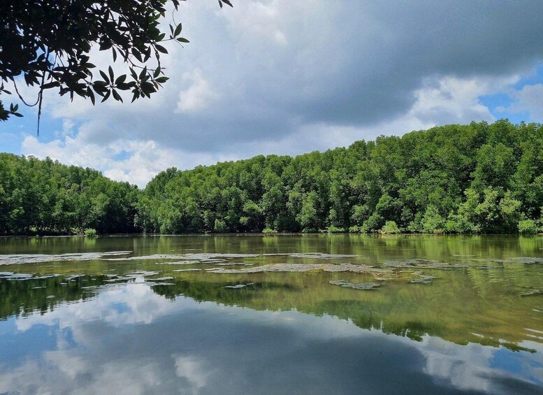 Picture 12 for Activity From Ho Chi Minh: Can Gio Mangrove Forest & Monkey Island