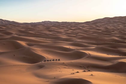 Fra Tanger: 10 dage til chefchaouen og fes, sahara-ørkenen