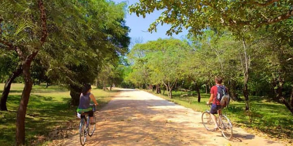 Picture 7 for Activity Polonnaruwa: All Inclusive Ancient City Guided Cycling Tour