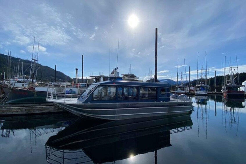 Picture 3 for Activity Hoonah: Whale Watching Cruise