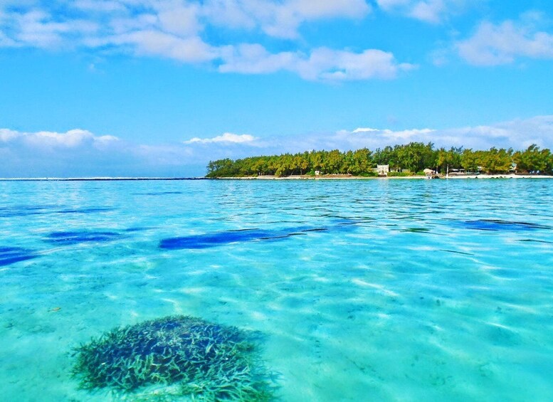 Picture 4 for Activity Ile aux Aigrettes Reserve & Blue Bay Glass Bottom Boat