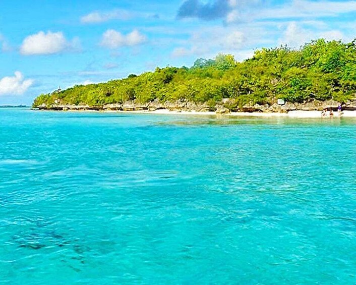 Picture 6 for Activity Ile aux Aigrettes Reserve & Blue Bay Glass Bottom Boat